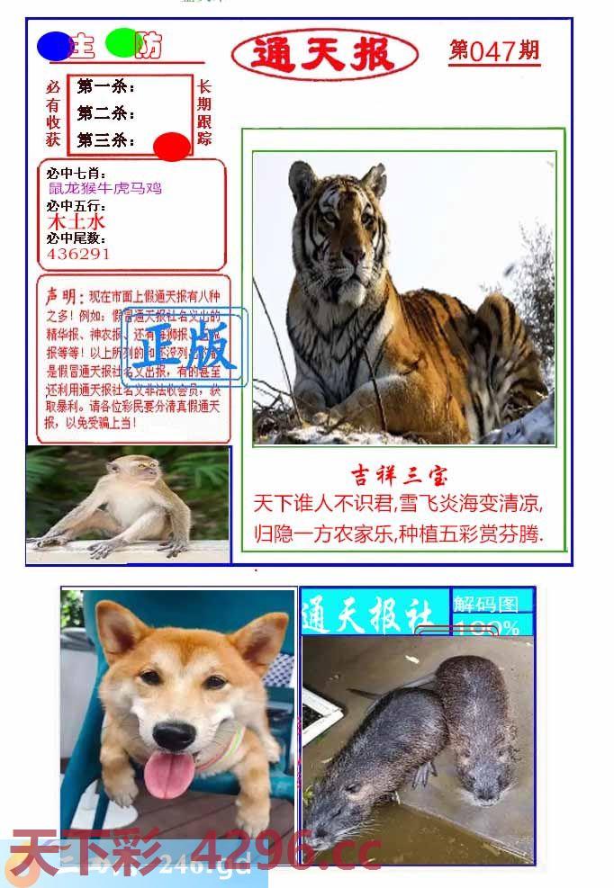 ：通天杀波图1